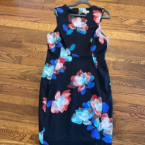 Calvin Klein MIDI sleeveless shift dress. Gold back zipper.